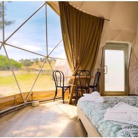 Caravans Park & Glamping Tents In The Vineyard Villa Turda Eksteriør billede