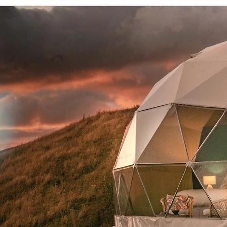 Caravans Park & Glamping Tents In The Vineyard Villa Turda Eksteriør billede