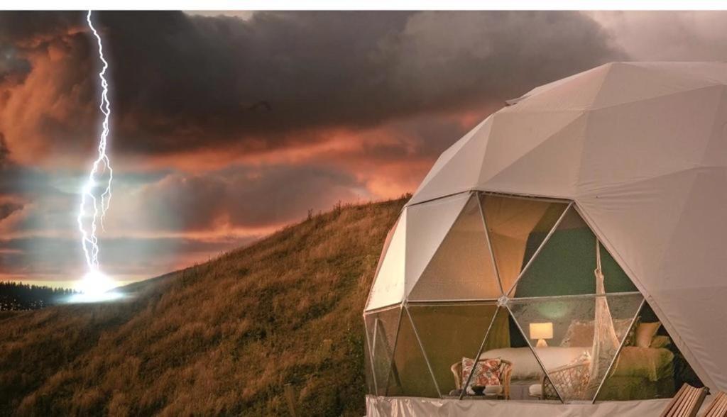 Caravans Park & Glamping Tents In The Vineyard Villa Turda Eksteriør billede
